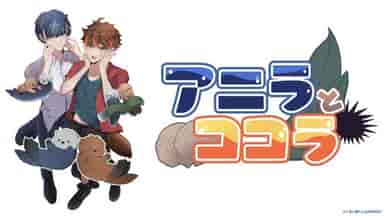 アニラとココラ