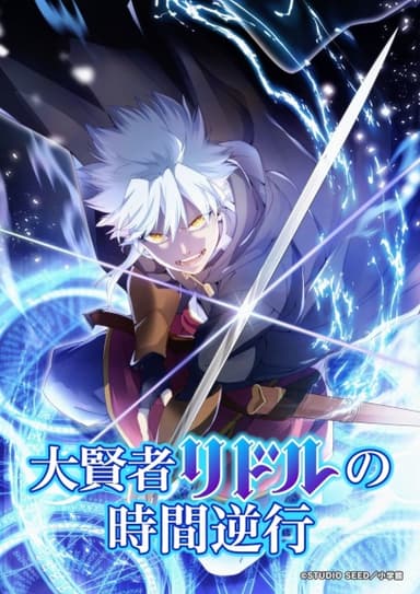 大賢者リドルの時間逆行